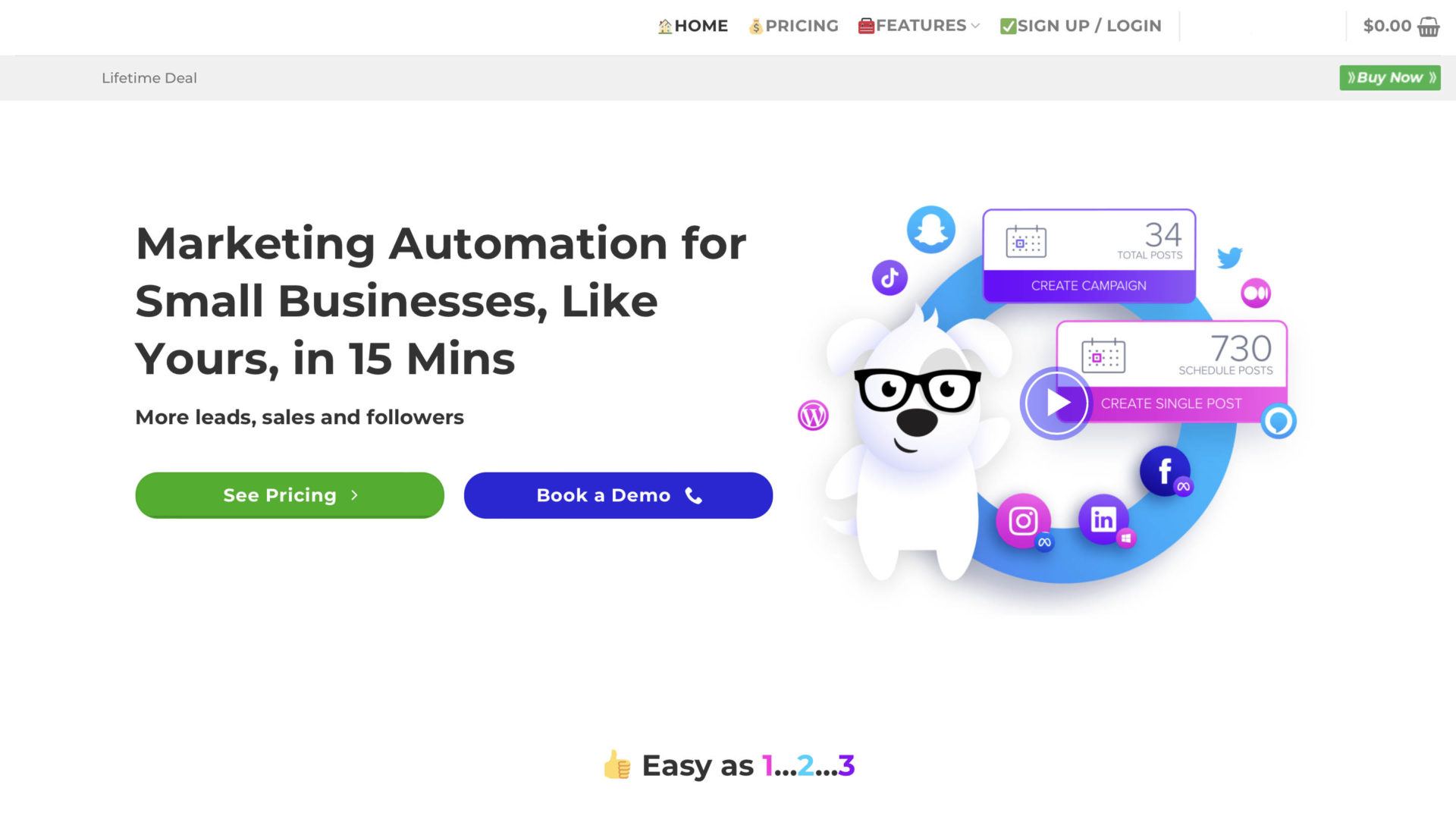 Marketing Automation for Small Businesses